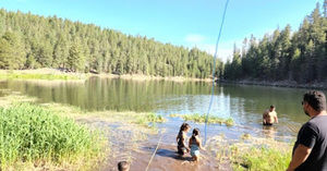 Meet your Posher, Veronica